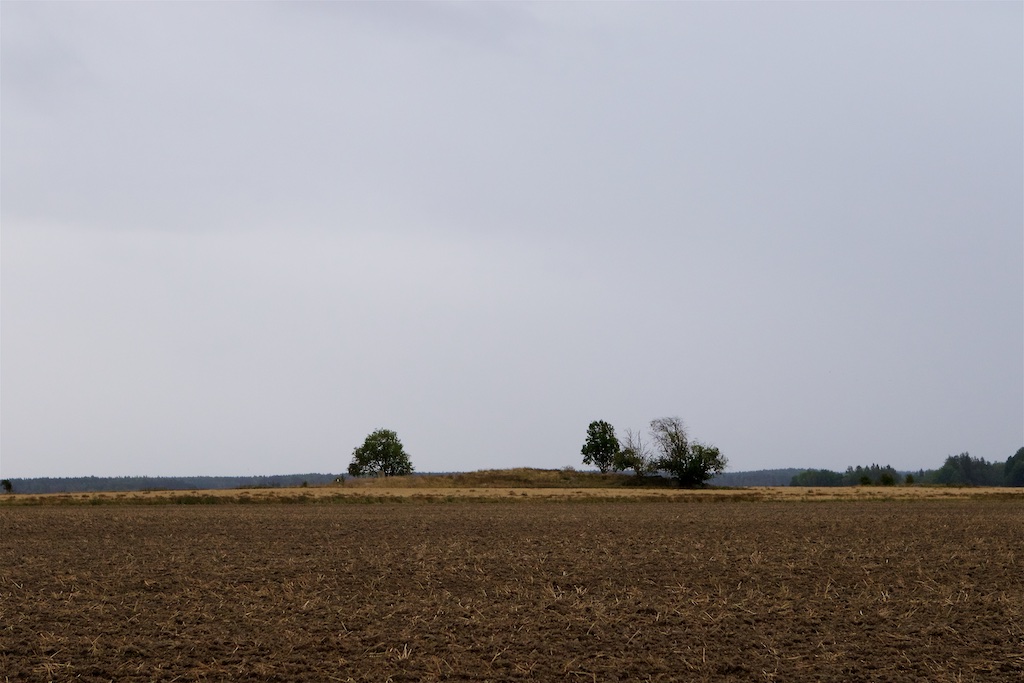 Gästre tidigare Gestilren